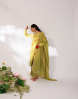 Saiee Suit Set - Golden Green Hand Ombre Mashru Silk Straight Suit Set With Dupatta