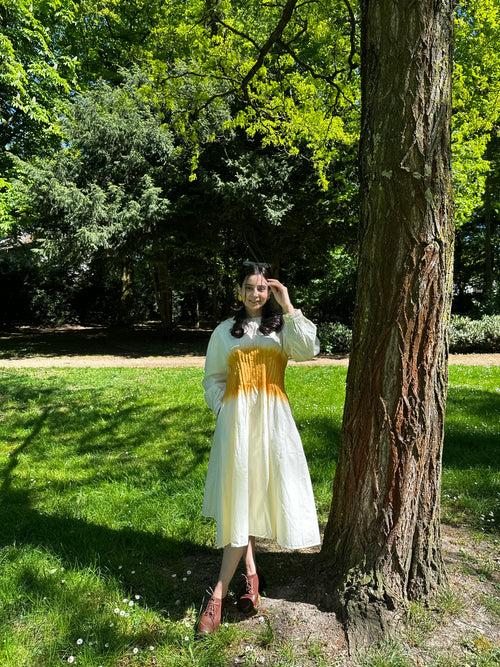 Avaani Dress
